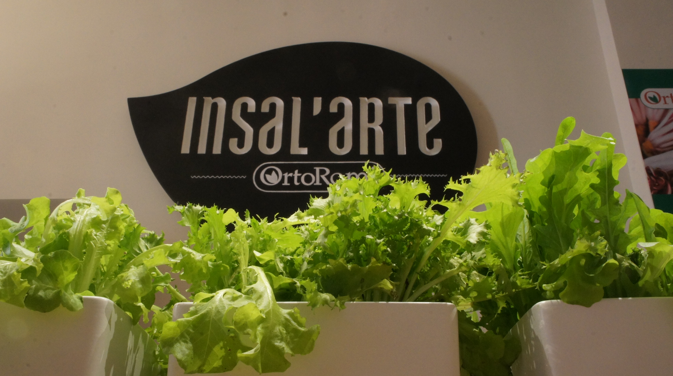 insalarte