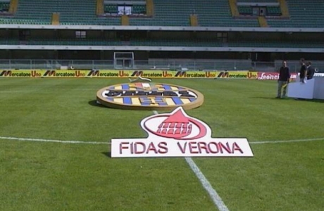 min hellas verona logo in polistirolo